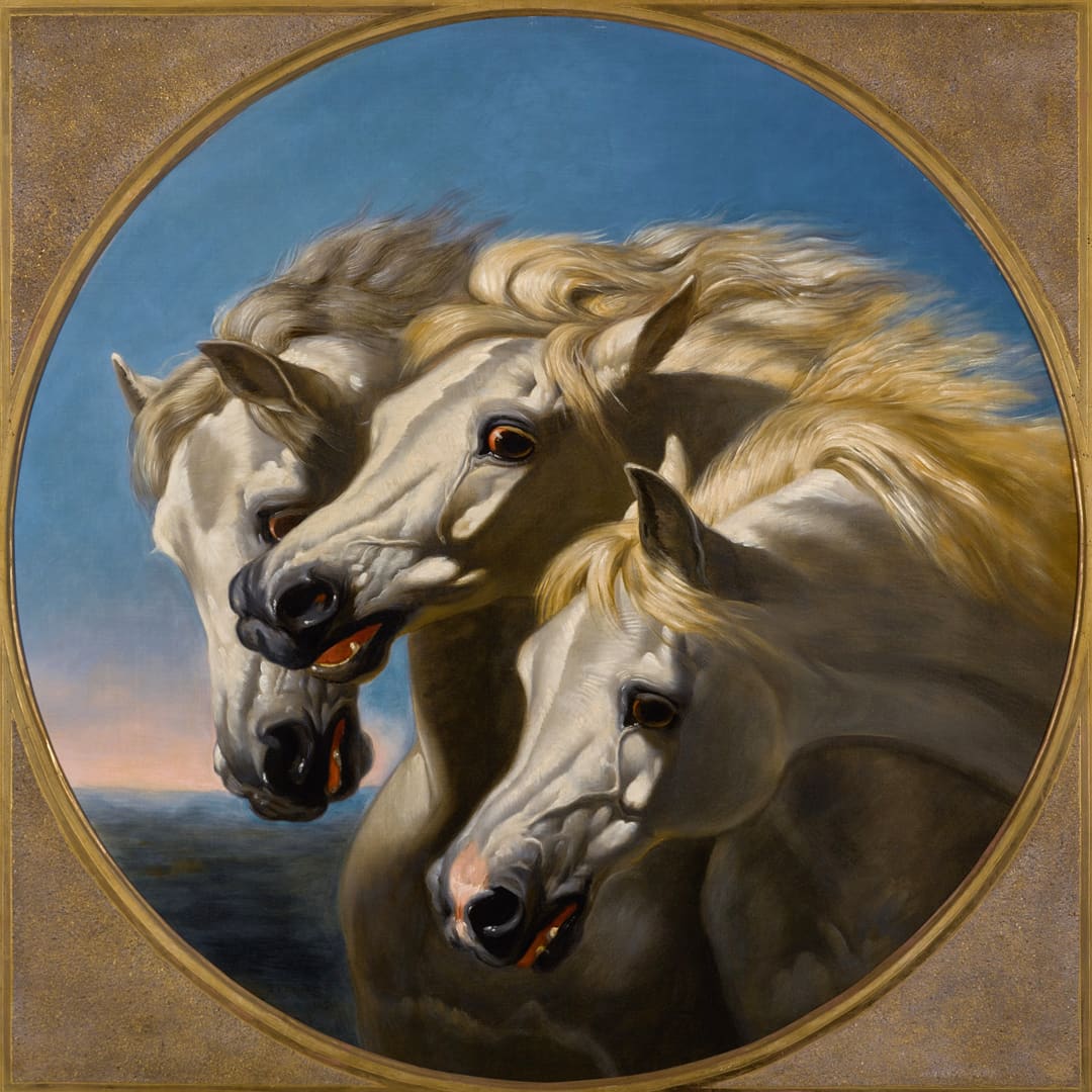 Pharoah´s Chariot Horses