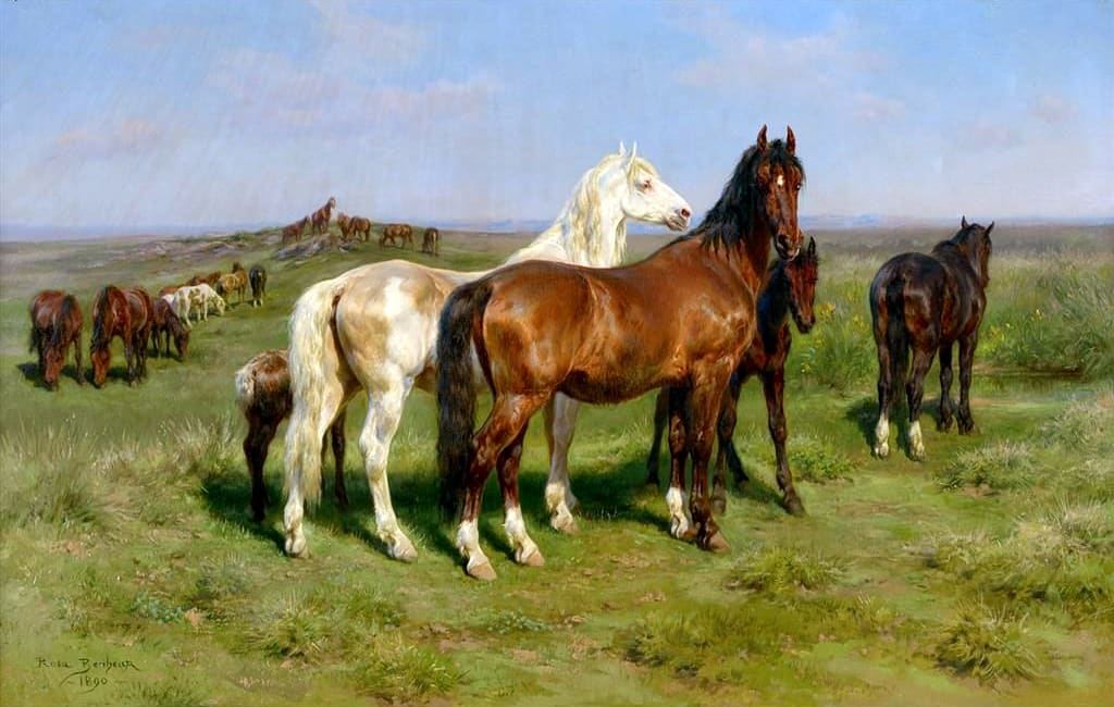 Wild horses on the open plains, 1890